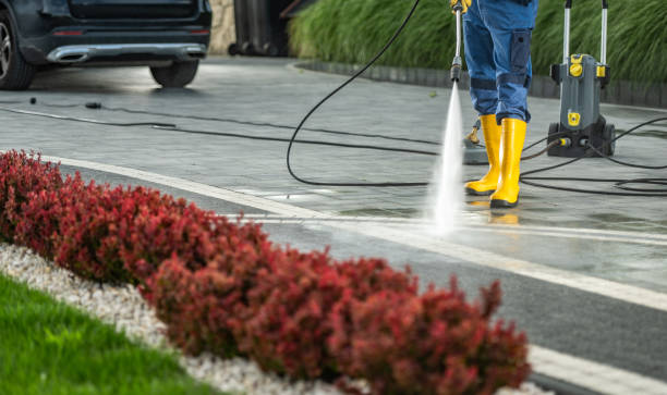 Professional Pressure washing in River Ridge, FL